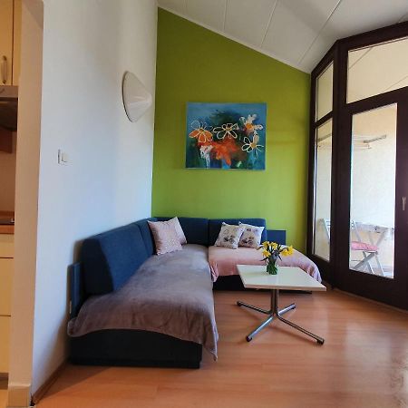 Janja Apartment Novigrad Istria Εξωτερικό φωτογραφία