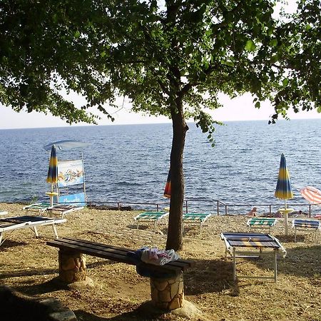 Janja Apartment Novigrad Istria Εξωτερικό φωτογραφία