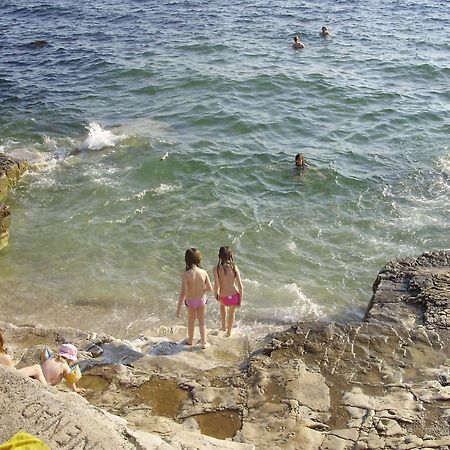 Janja Apartment Novigrad Istria Εξωτερικό φωτογραφία