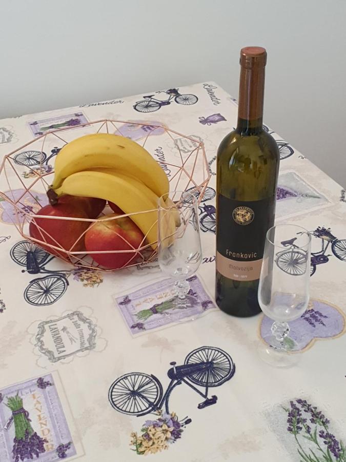 Janja Apartment Novigrad Istria Εξωτερικό φωτογραφία