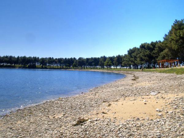 Janja Apartment Novigrad Istria Εξωτερικό φωτογραφία